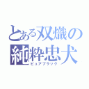 とある双熾の純粋忠犬（ピュアブラック）