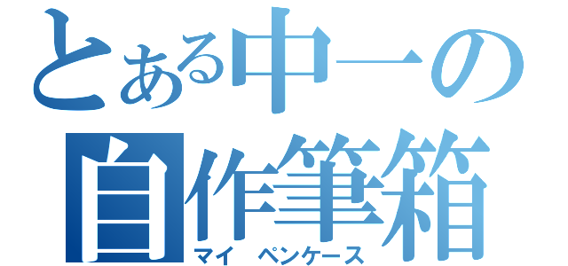 とある中一の自作筆箱（マイ　ペンケース）