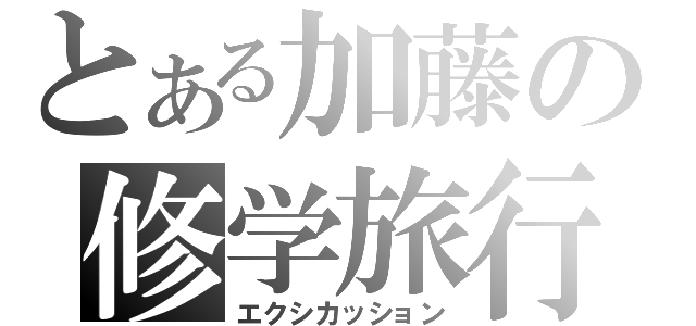 とある加藤の修学旅行（エクシカッション）