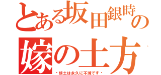 とある坂田銀時の嫁の土方十四郎（〜銀土は永久に不滅です〜）