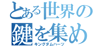 とある世界の鍵を集めし物（キングダムハーツ）