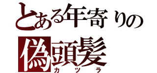 とある年寄りの偽頭髪（カツラ）