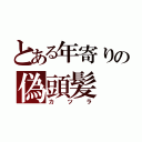 とある年寄りの偽頭髪（カツラ）