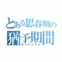 とある思春期の猶予期間（モラトリアム）