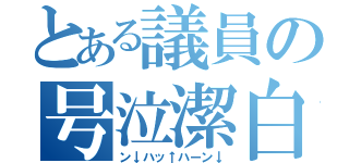 とある議員の号泣潔白（ン↓ハッ↑ハーン↓）