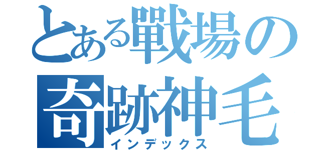 とある戰場の奇跡神毛（インデックス）