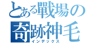 とある戰場の奇跡神毛（インデックス）