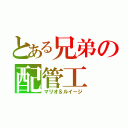 とある兄弟の配管工（マリオ＆ルイージ）