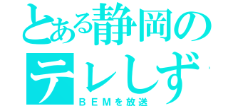 とある静岡のテレしず（ＢＥＭを放送）