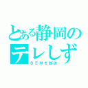 とある静岡のテレしず（ＢＥＭを放送）