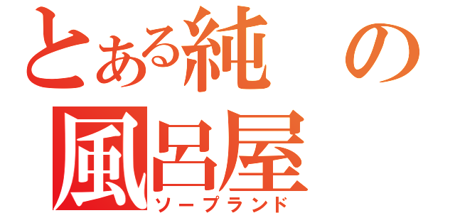 とある純の風呂屋（ソープランド）