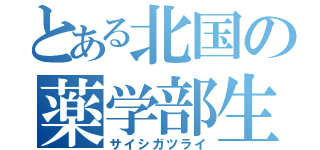 とある北国の薬学部生（サイシガツライ）