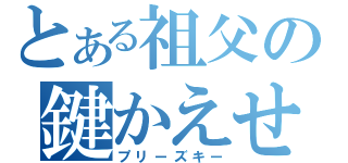 とある祖父の鍵かえせ（プリーズキー）