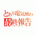 とある電気鰻の最終報告（ラストレポート）