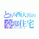 とある西大宮の豪邸住宅（ブラックホール）