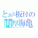 とある板付の肉厚海亀（キリシマ　タクヤ）