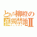 とある柳橙の孤獨禁地Ⅱ（ＡＬＯＮＥ）