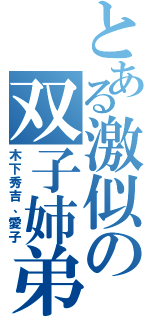 とある激似の双子姉弟（木下秀吉、愛子）