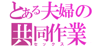 とある夫婦の共同作業（セックス）