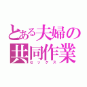 とある夫婦の共同作業（セックス）