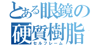 とある眼鏡の硬質樹脂骨子（セルフレーム）