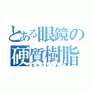 とある眼鏡の硬質樹脂骨子（セルフレーム）