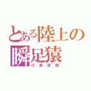 とある陸上の瞬足猿（小泉宏樹）