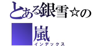 とある銀雪☆の 嵐（インデックス）