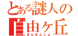 とある謎人の自由ヶ丘（きたせんじゅ）