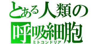 とある人類の呼吸細胞（ミトコンドリア）