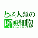 とある人類の呼吸細胞（ミトコンドリア）