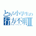 とある小学生の行方不明Ⅱ（ナローバンド）