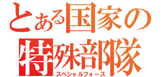 とある国家の特殊部隊（スペシャルフォース）