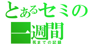 とあるセミの一週間（死までの記録）