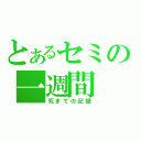 とあるセミの一週間（死までの記録）