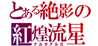 とある絶影の紅煌流星（ナルガクルガ）