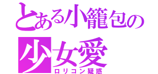 とある小籠包の少女愛（ロリコン疑惑）