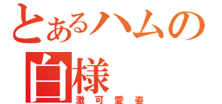 とあるハムの白様（激可愛姿）