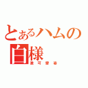 とあるハムの白様（激可愛姿）