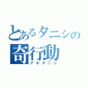 とあるタニシの奇行動（アホタニシ）