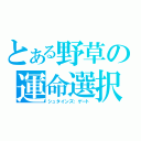 とある野草の運命選択（シュタインズ；ゲート）