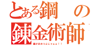 とある鋼の錬金術師（誰がまめつぶじゃぁぁ！！）