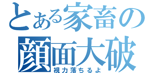 とある家畜の顔面大破（視力落ちるよ）