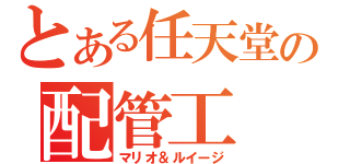 とある任天堂の配管工（マリオ＆ルイージ）