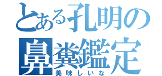 とある孔明の鼻糞鑑定（美味しいな）