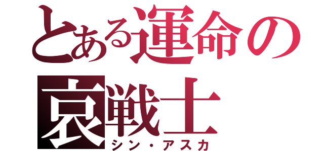 とある運命の哀戦士（シン・アスカ）