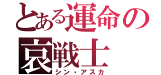 とある運命の哀戦士（シン・アスカ）