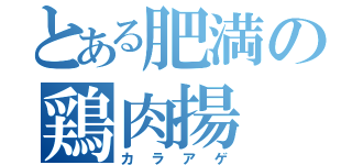 とある肥満の鶏肉揚（カラアゲ）