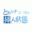 とあるチンコの挿入状態（セックス）