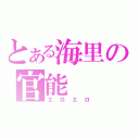 とある海里の官能（エロエロ）